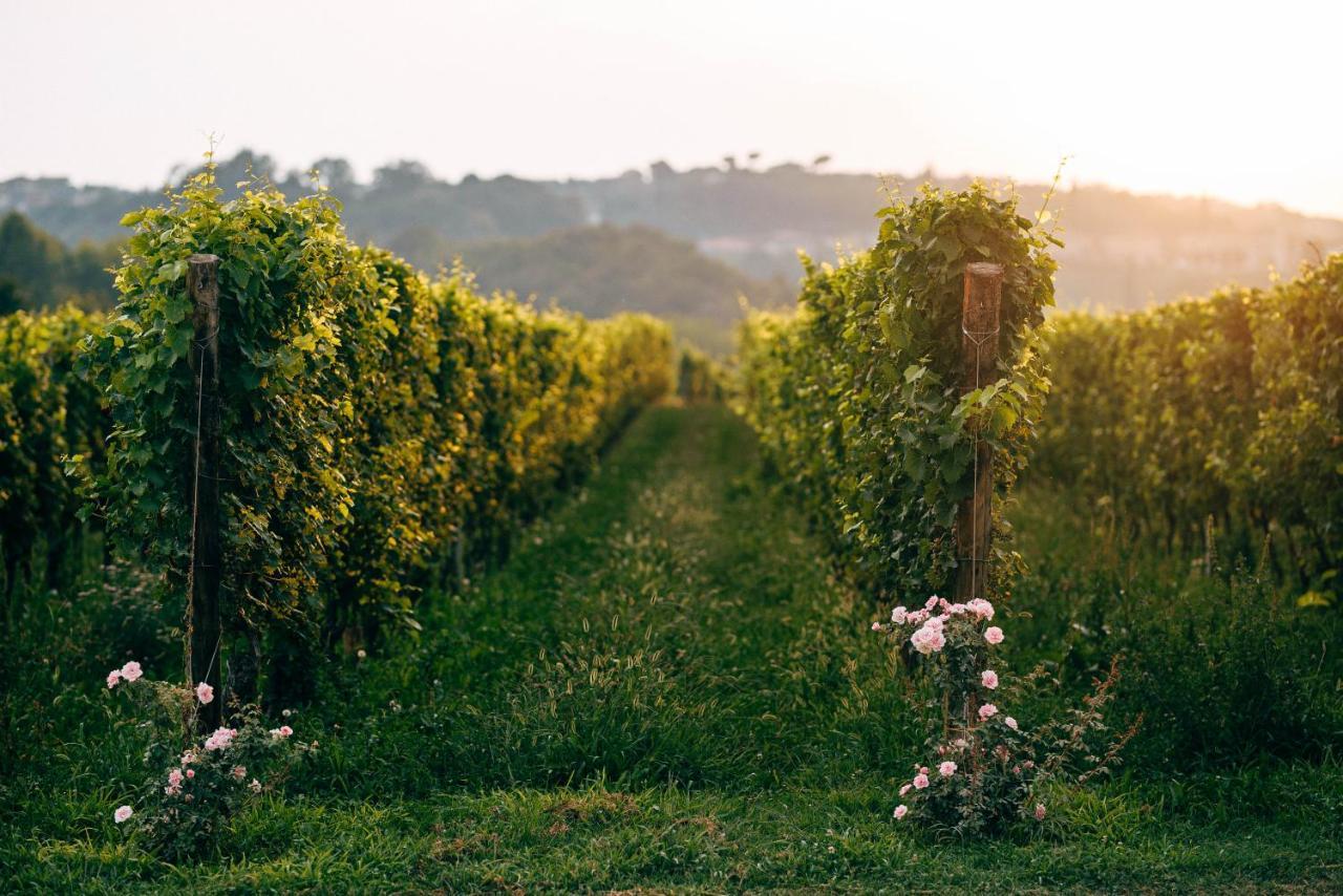 Conti Thun Wine Resort Puegnago del Garda Esterno foto